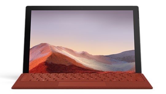龙山清洁和维护 Surface